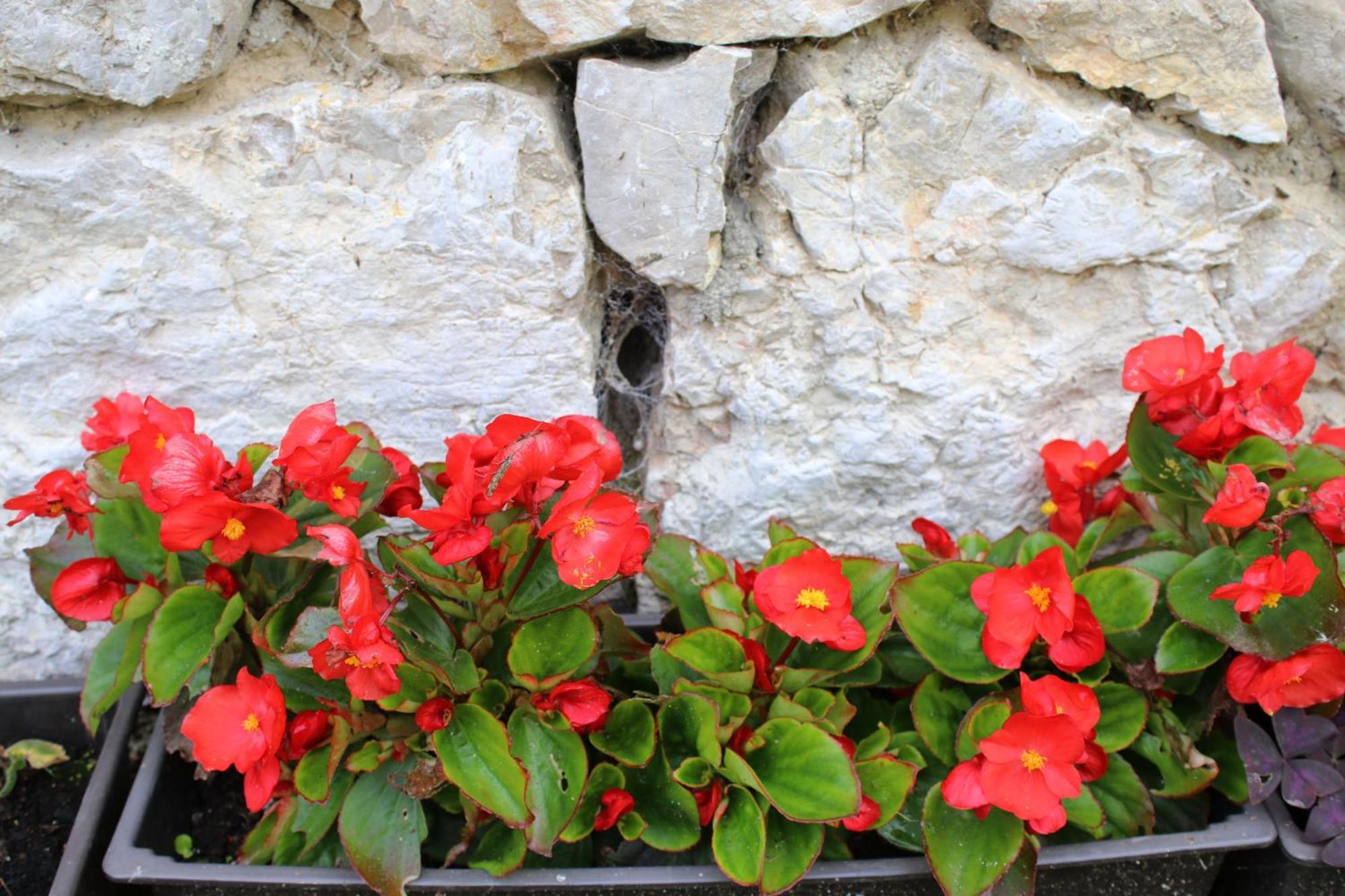 Stone Room-Kamena Soba Sipovo Dış mekan fotoğraf