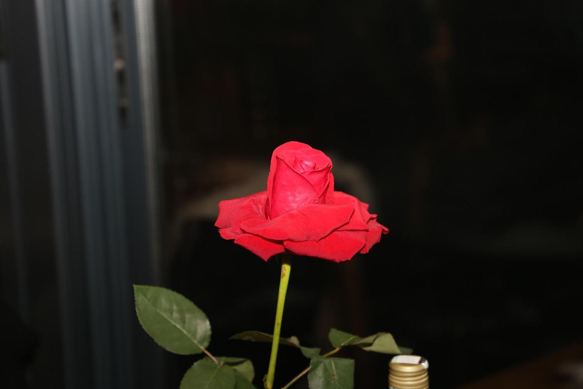 Stone Room-Kamena Soba Sipovo Dış mekan fotoğraf